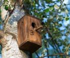 Маленький дом из дерева для птиц весной